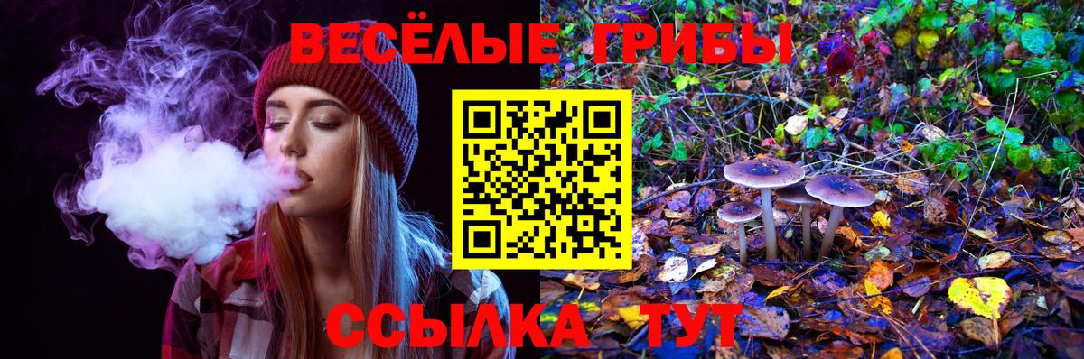 Псилоцибиновые грибы GOLDEN TEACHER Семёнов